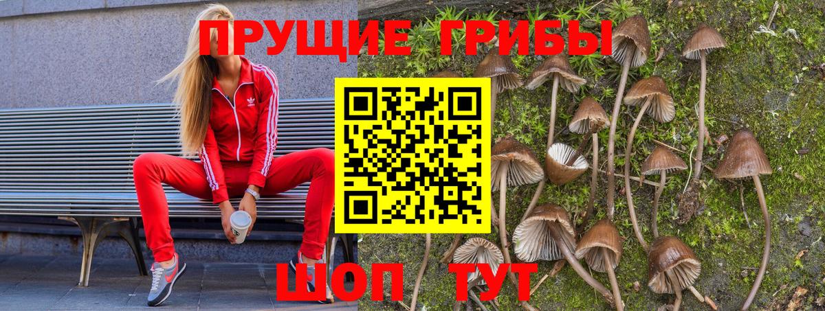 Галлюциногенные грибы ЛСД Черногорск